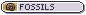 fossils