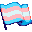 trans