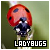 ladybugs fanlisting. click to see its page!