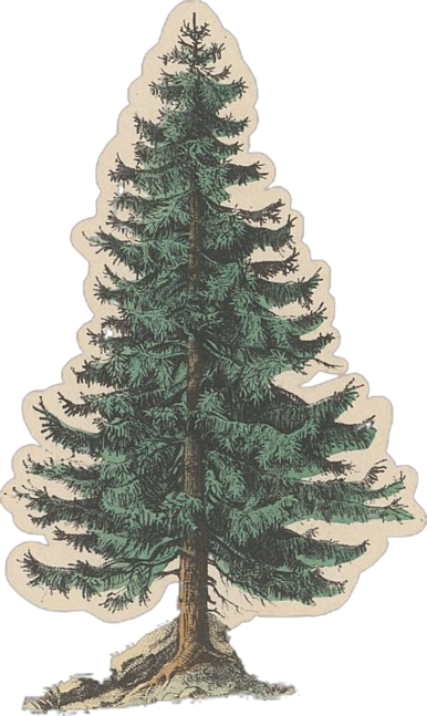 597c94f516db8c079e8fbf79ebc16892.png