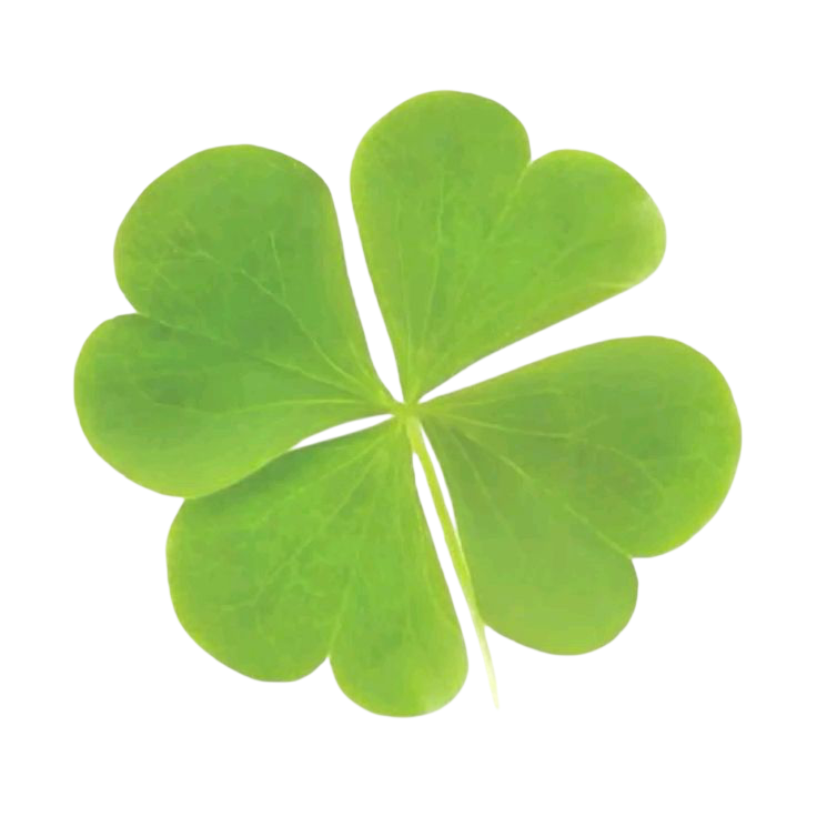 5d6c551deaf11464728f1f50954be5a5.png