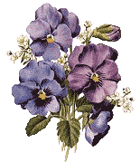 c28ff24f90b558c95bbcec064ba4625b.png