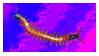 212ad136.gif