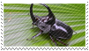b1dca29e56d630c7f62c81c42a0819b9.png