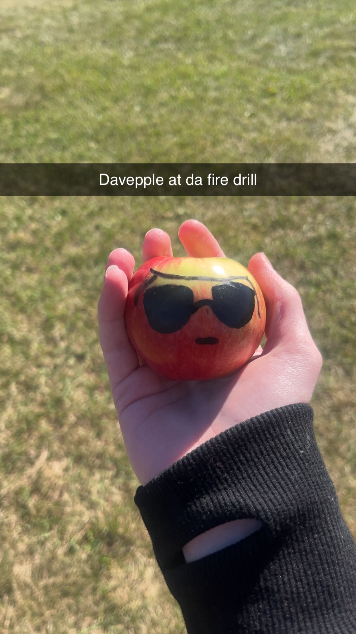 dapple fire