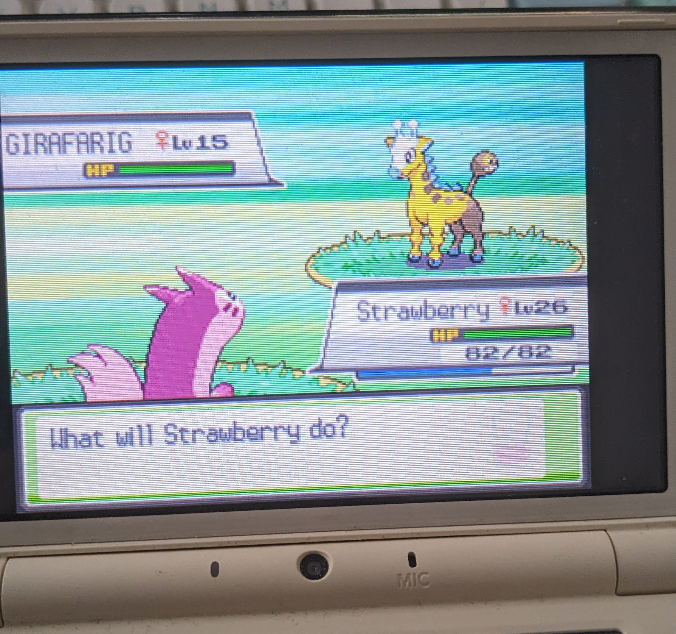An image showing the shiny Girafarig Pokémon I caught and the shiny Ferret I have named Strawberry.