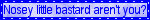 fart