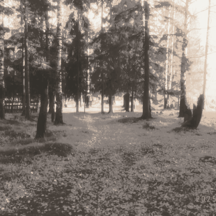 ac ; createboyt on insta