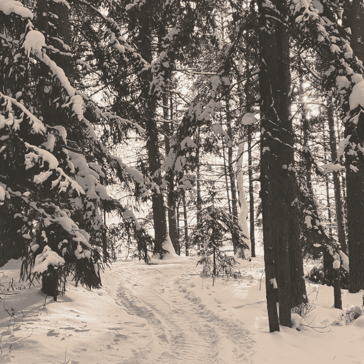 ac ; createboyt on insta