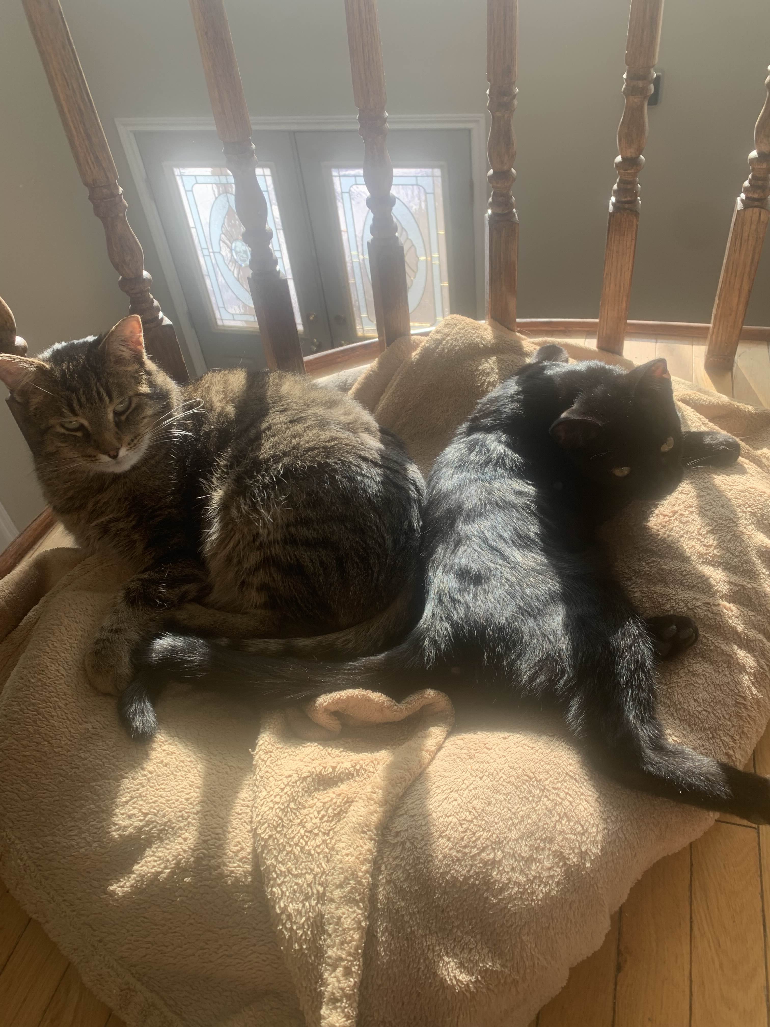 slinky (left) & bif (right)