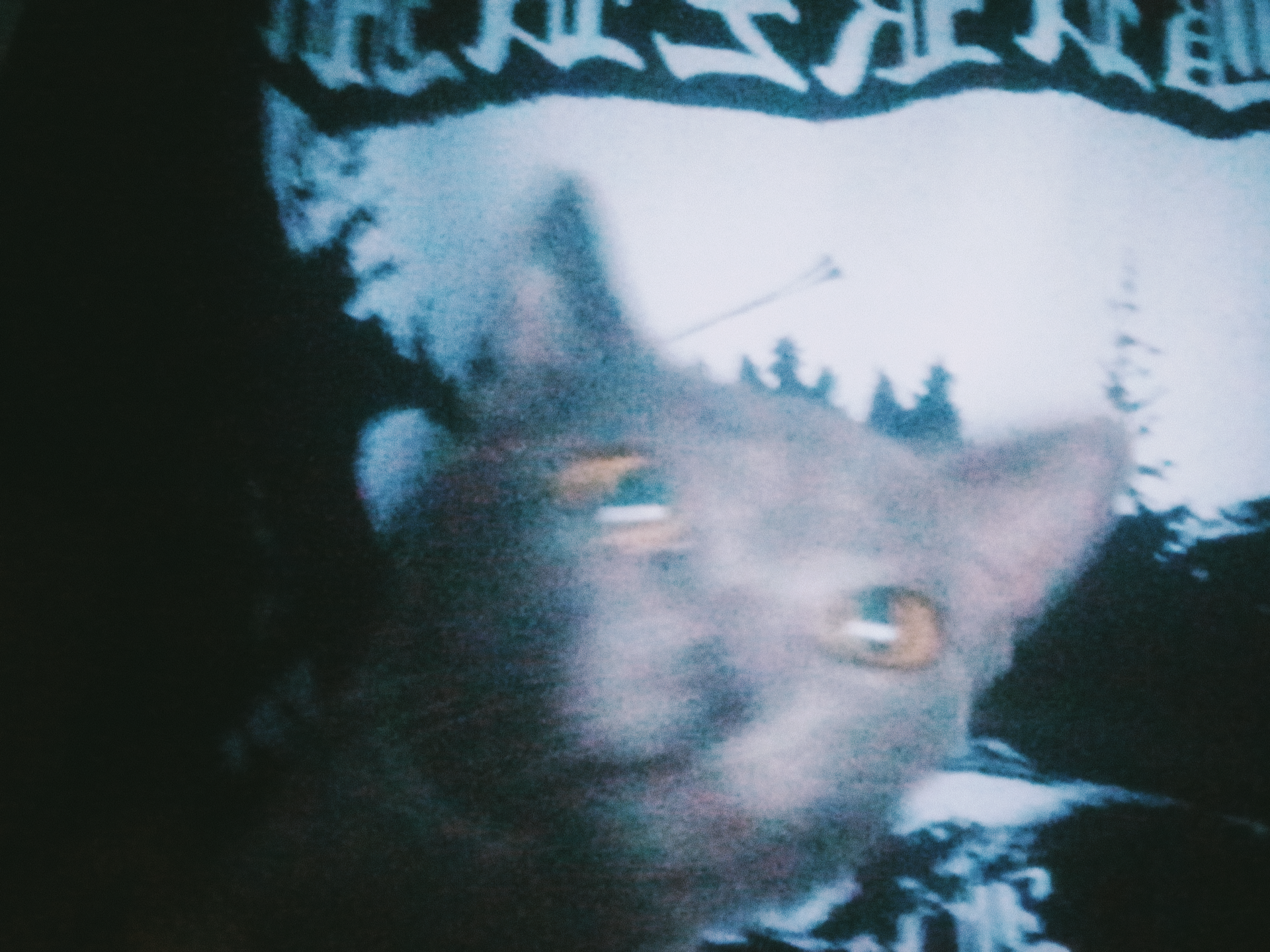 32