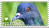 I <3 pigeons