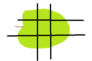an apple cut in a fairly standard way, but the apple is placed on its side instead of upright