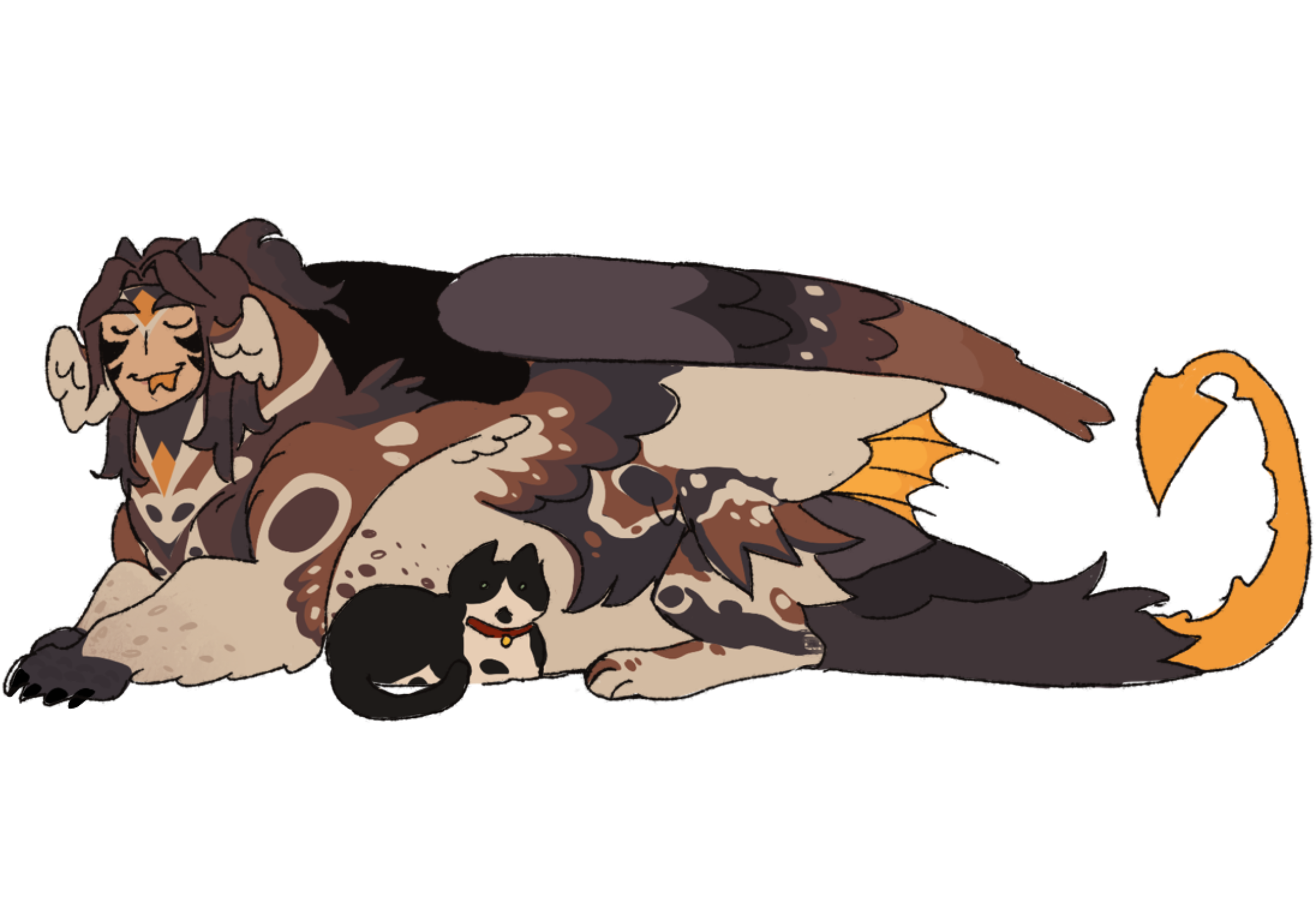 fir.png