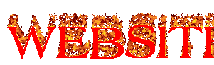 Flaming text of the word "WEBSITE", with the end cut off slightly.