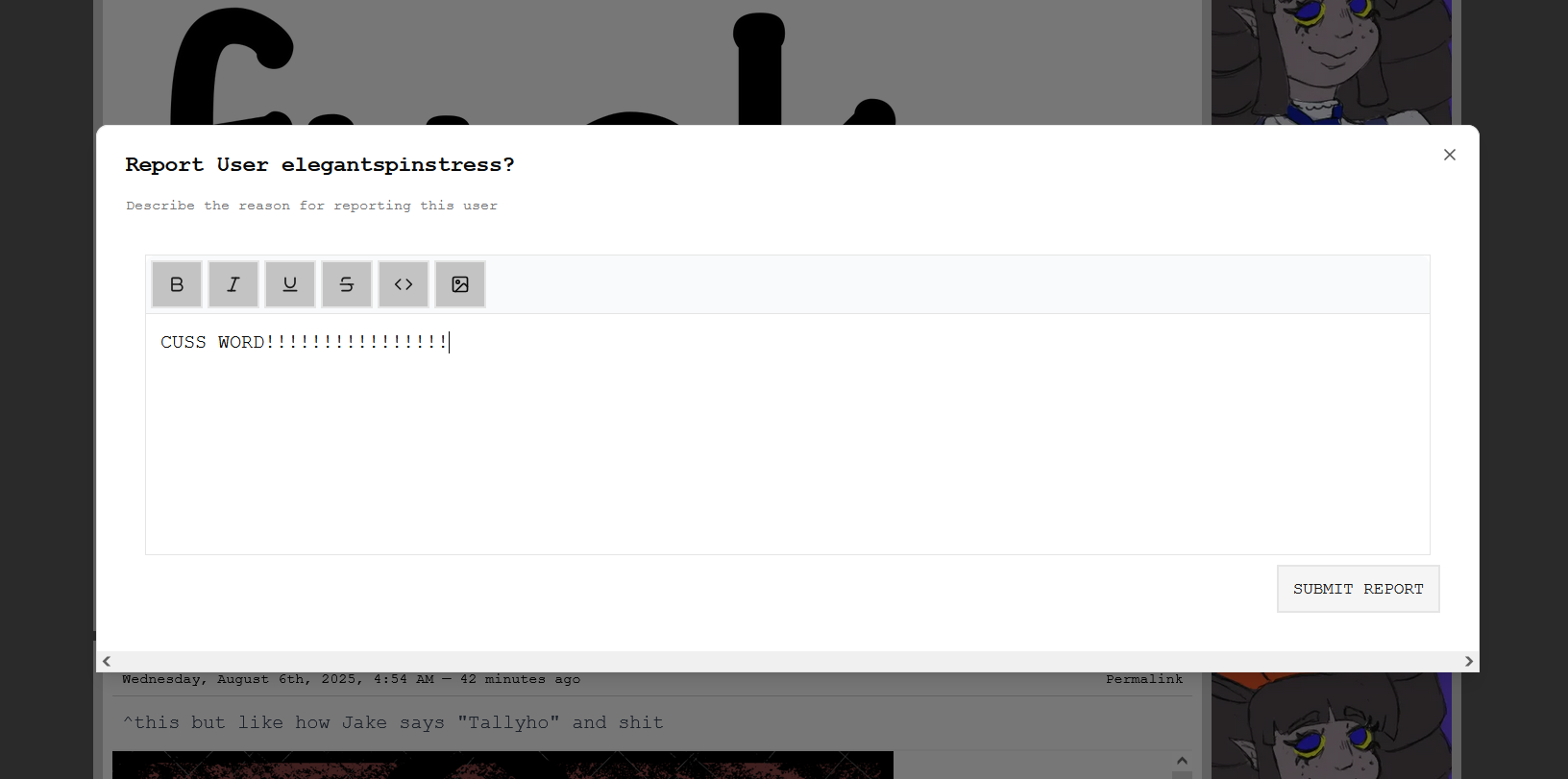 FRAF's report textbox. Inside the above user is being "reported" for CUSSING.