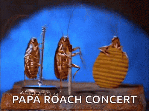 animated gif of cockroaches playing instruments with the caption "papa roach concert"