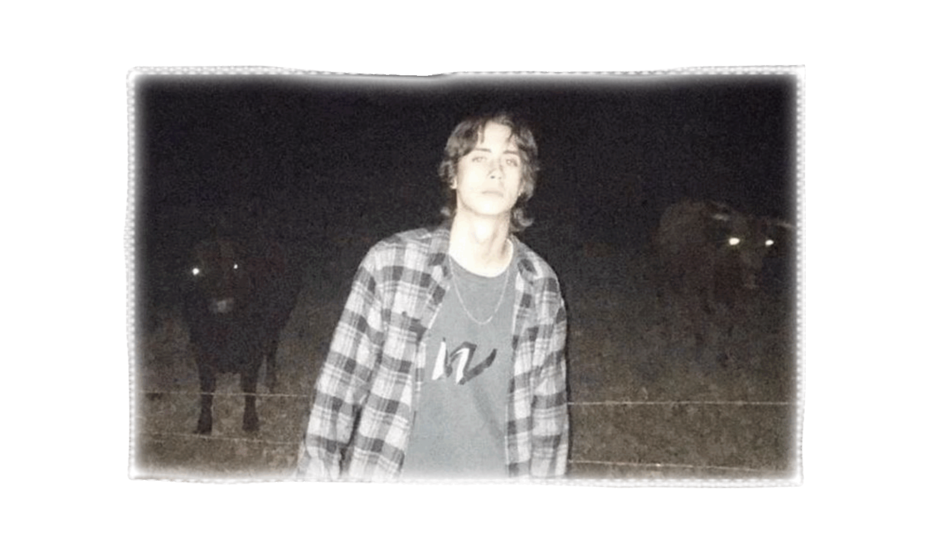Ghost Mountain in the dark in front of two cows on a pasture behind a fence. Text reads, "I'll be coiled in your lap till you wake me up," from the Ghost Mountain song "Coil." Ghost Mountain in the dark in front of two cows on a pasture behind a fence. Text reads, "I'll be coiled in your lap till you wake me up," from the Ghost Mountain song "Coil."