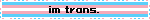 a trans flag blinkie with the text 'im trans.' on it
