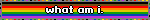 a rainbow blinkie with the text 'what am i.' on it