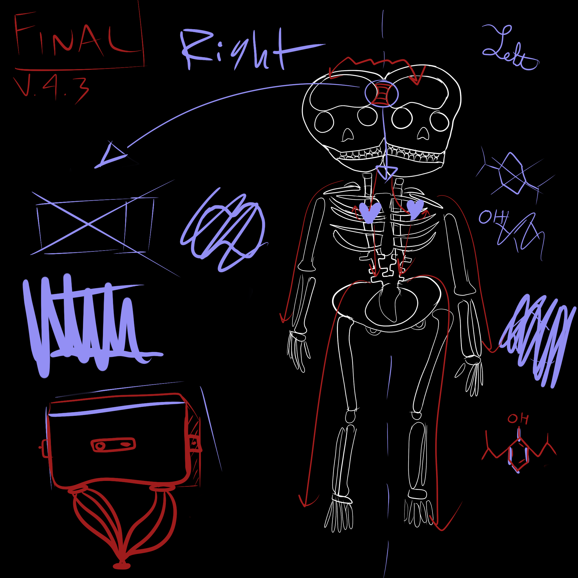 A sketch of the bride's skeletal structure, with her and the surgeon's notes on various devices and chemicals in the margins.