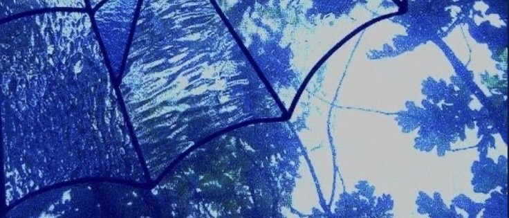 Serena Corvid's banner