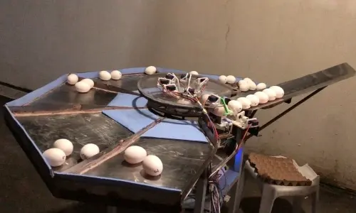 Load Cell-Based Egg Sorter Machine