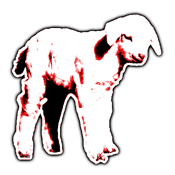 lamb