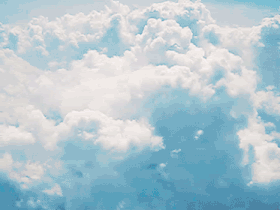 tumblr_ca3a5a1dc7adc016c7d6edf7f8dd1fff_