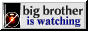 big brother