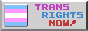 Trans Rights
