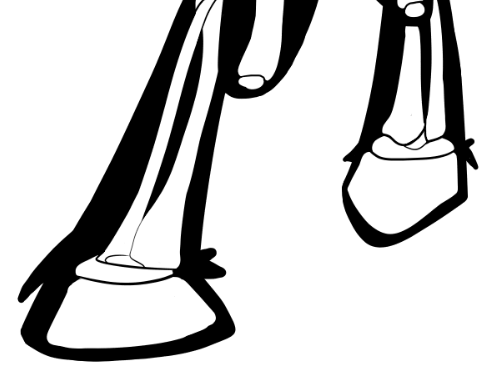 An xray sillhouette of the Foat's body showing off his skull and bones