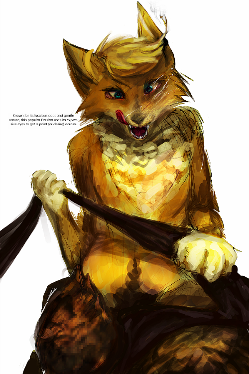 The Foat is digitally painted, gripping a length of fabric. Slobber flies out of his open mouth. His piercing blue eyes are looking down at you. On screen text reads "Known for his luscious coat and gentle nature, this popular Persian uses its expressive eyes to get a point (or desire) across."