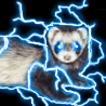 angryferret