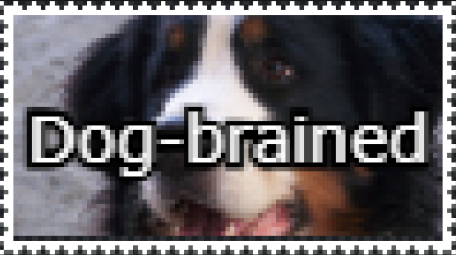 dawgbrained