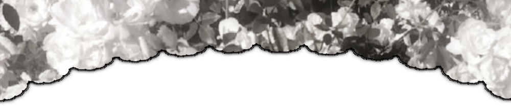 Divider top◟ Nftu。 Divider top◟ Nftu。