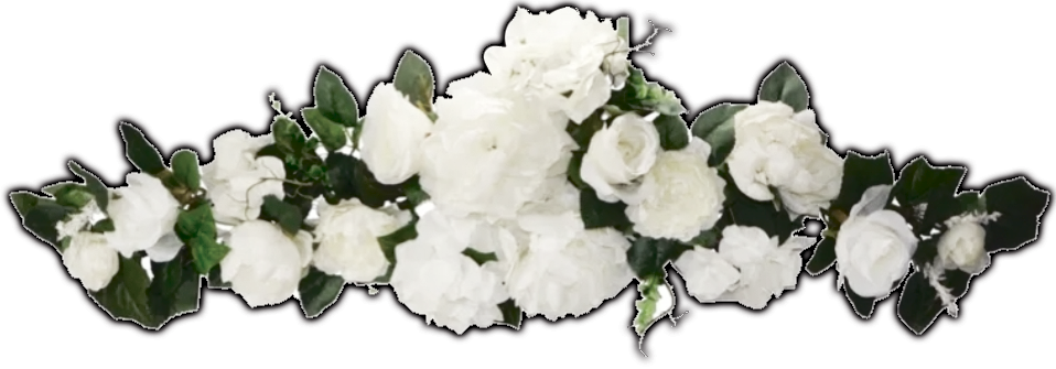 ⠀flowers div｡⠀