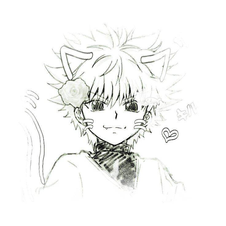 ⠀Killua｡⠀