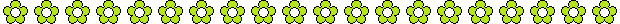 flowerlime