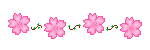 pinksakuraflower