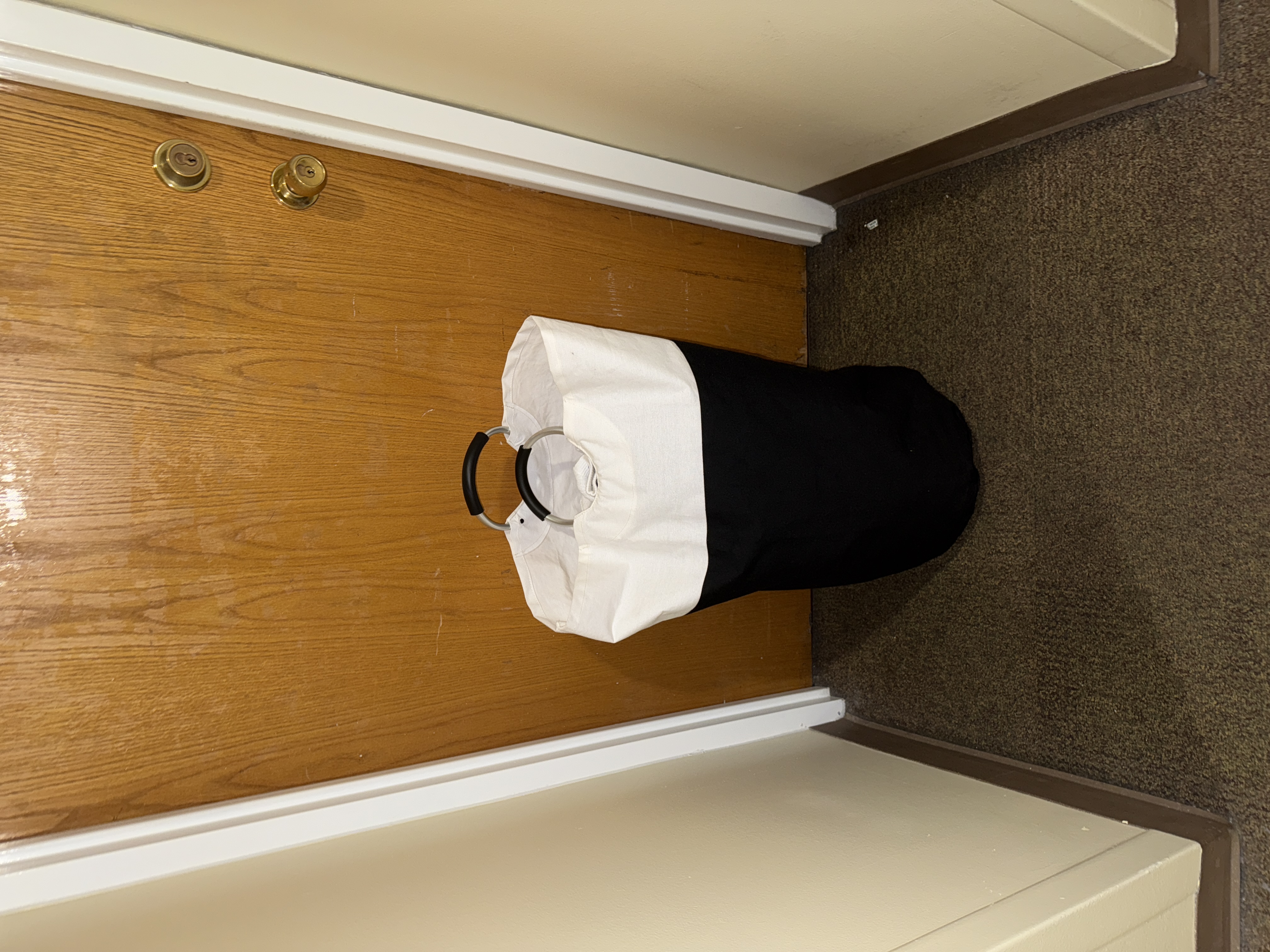 Laundry Dash Delivered Proof