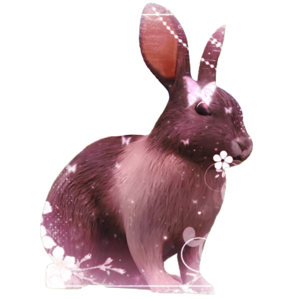 Bunny Monster