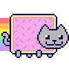 a custom gif of nyan cat!