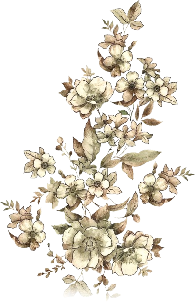 mdyeachinarafat on pinterest