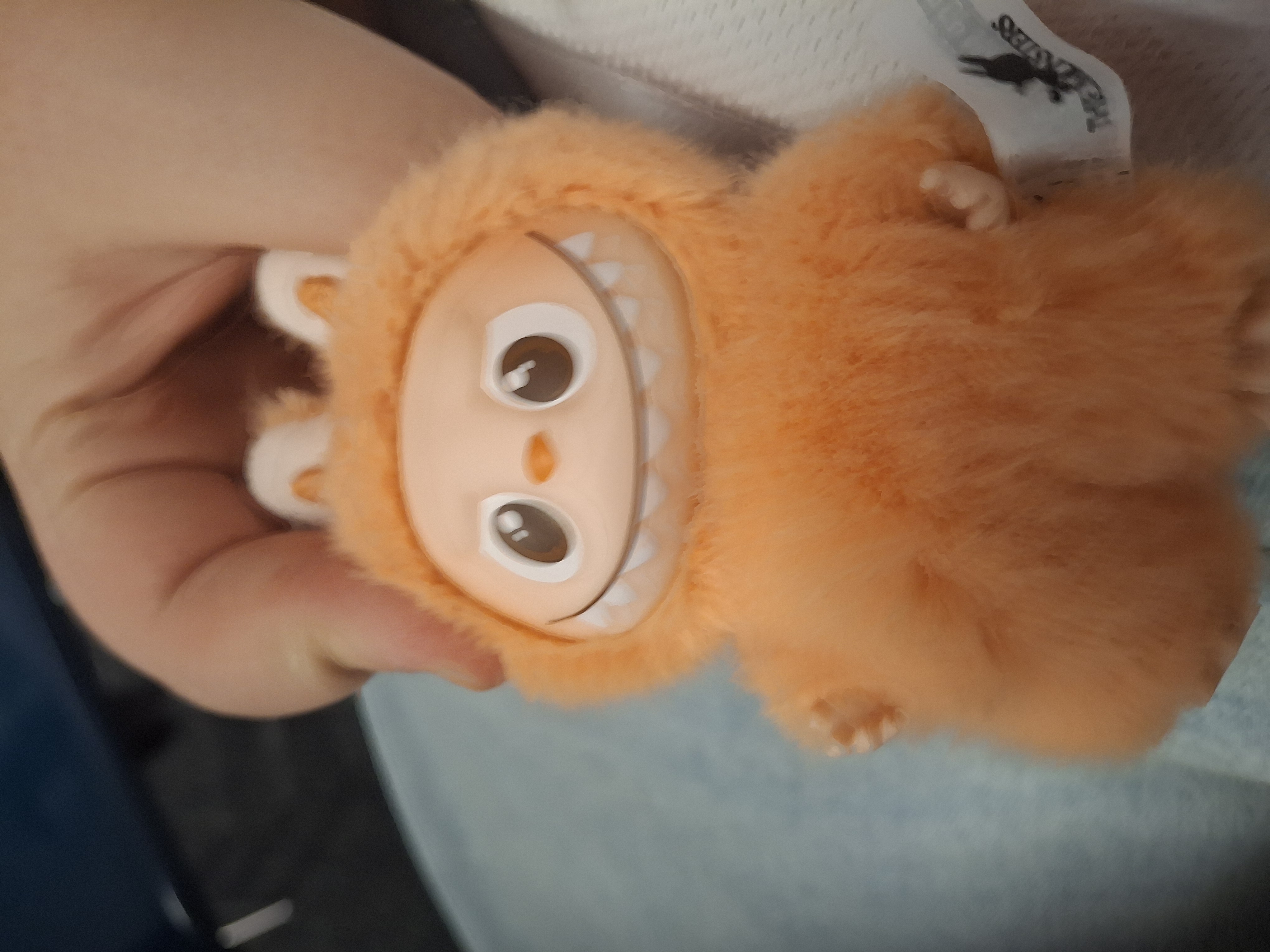 jacks labubj