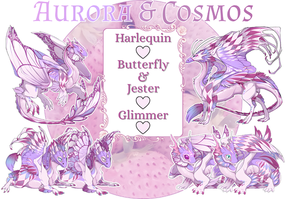 auroracosmos.png