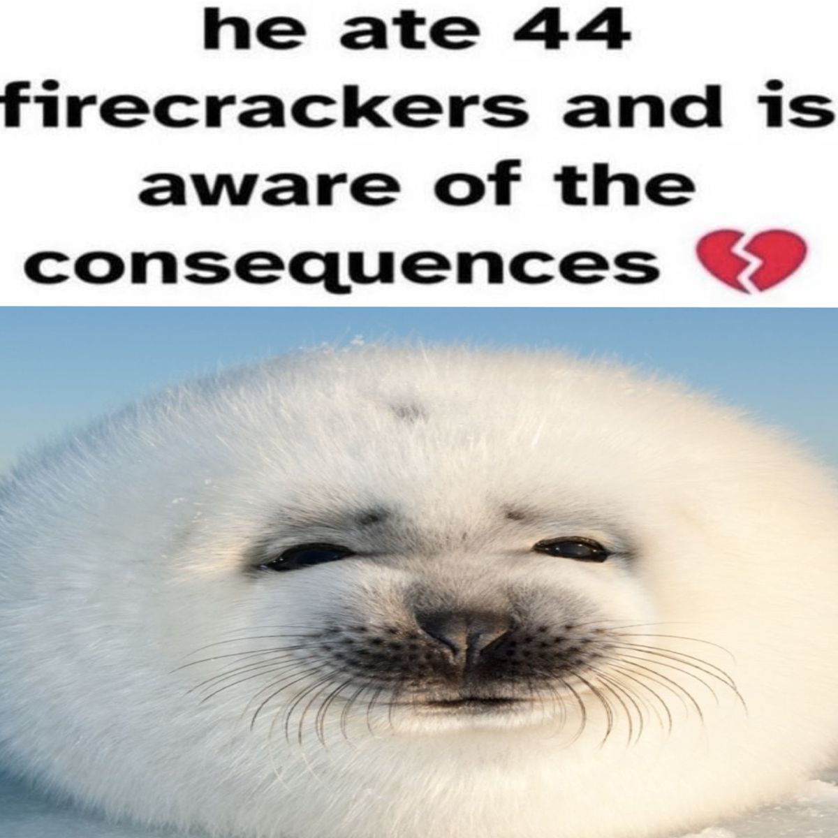 94bdac591f08196ab4191027e7a34fb6.jpg