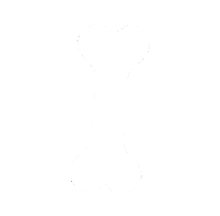 Bone