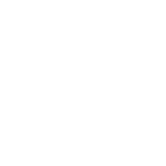 ShellConch
