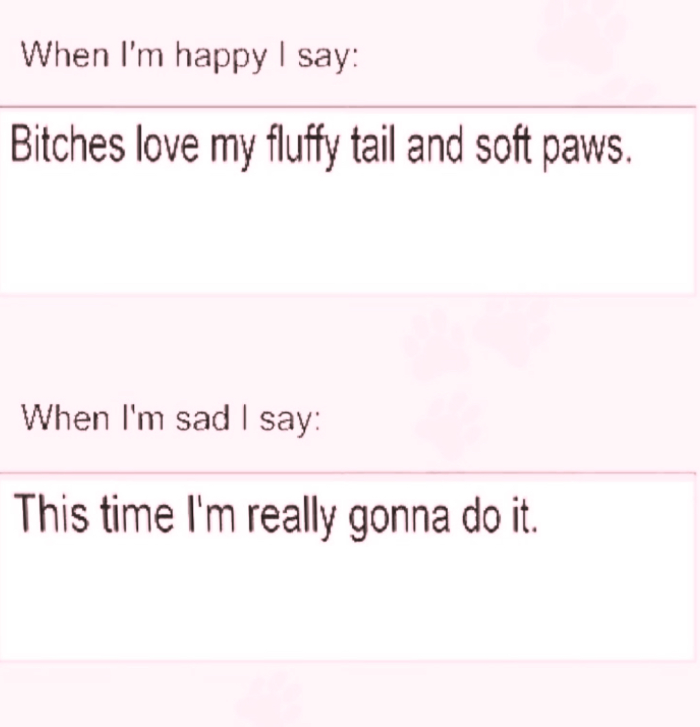 bitches love my fluffy tail and soft paws!